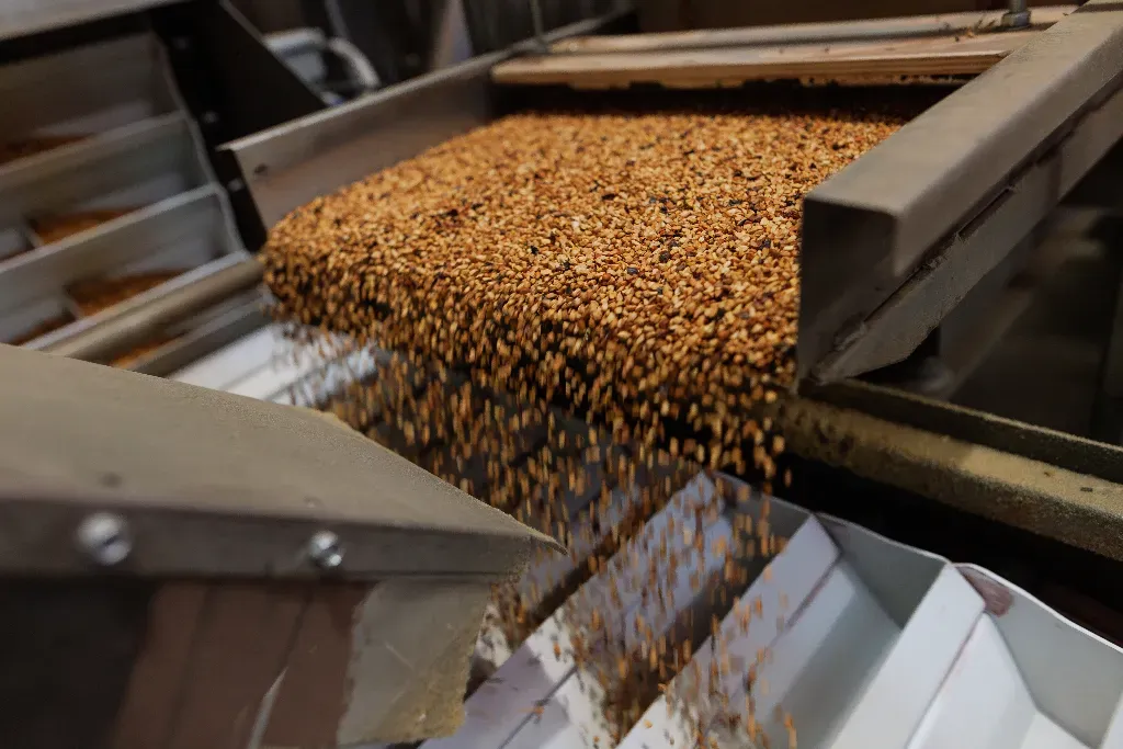 Gdzie na Mazurach można kupić taśmociągi